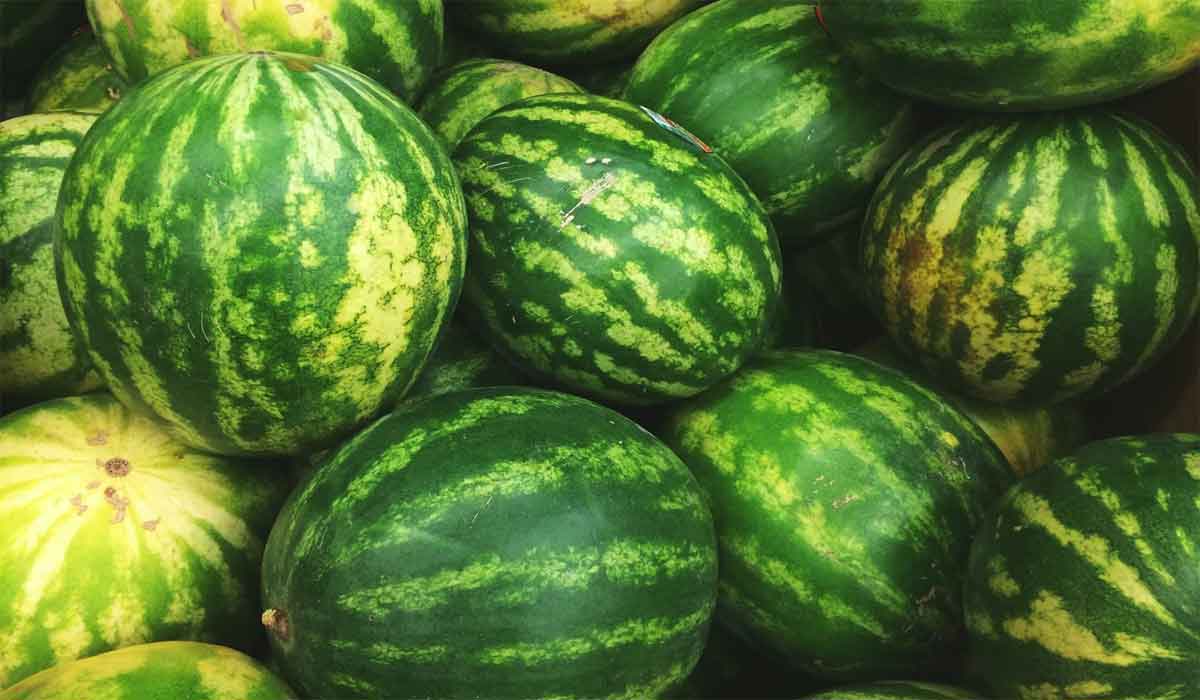 فوائد قشر البطيخ الأخضر
