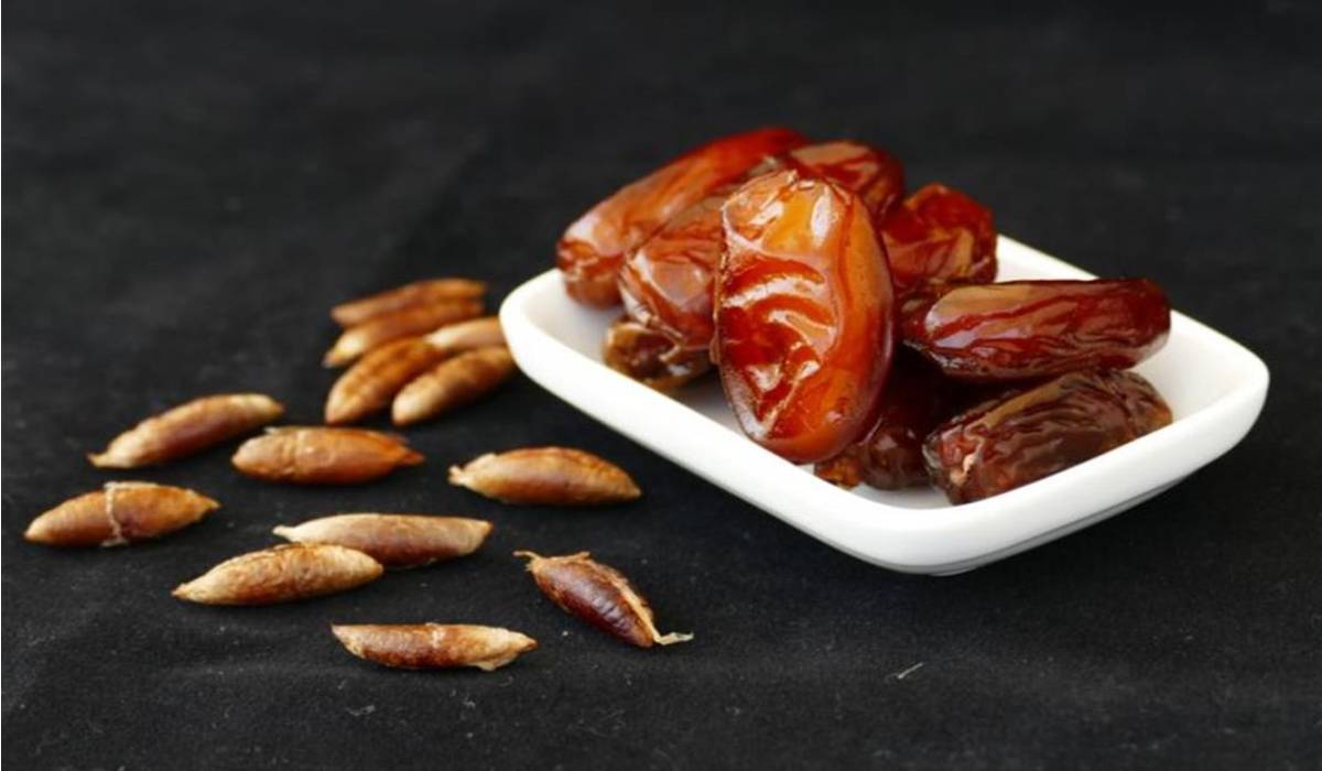 فوائد نواة البلح