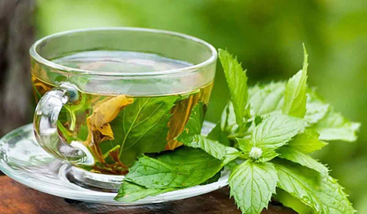 كيفية التخلص من الغازات بالأعشاب