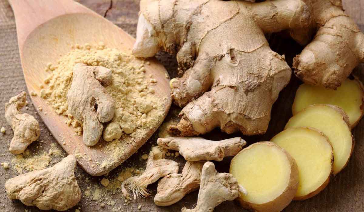 ما هي فوائد الزنجبيل للحائض