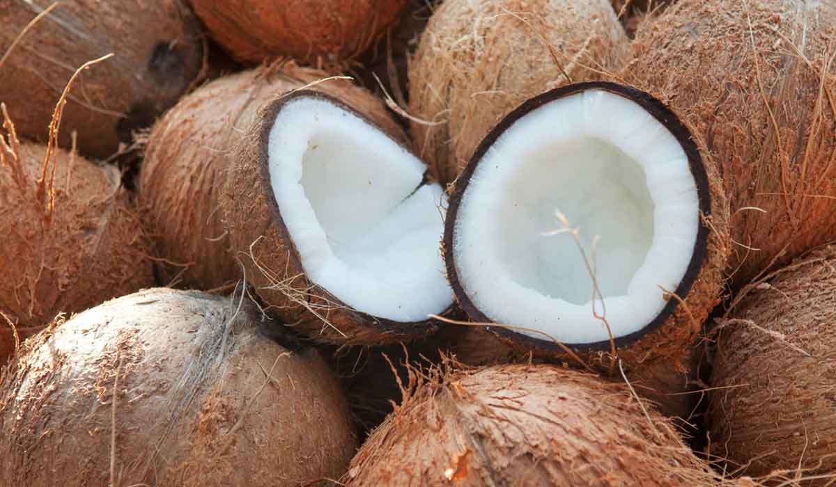 فوائد أكل ثمرة جوز الهند 2 فوائد أكل ثمرة جوز الهند
