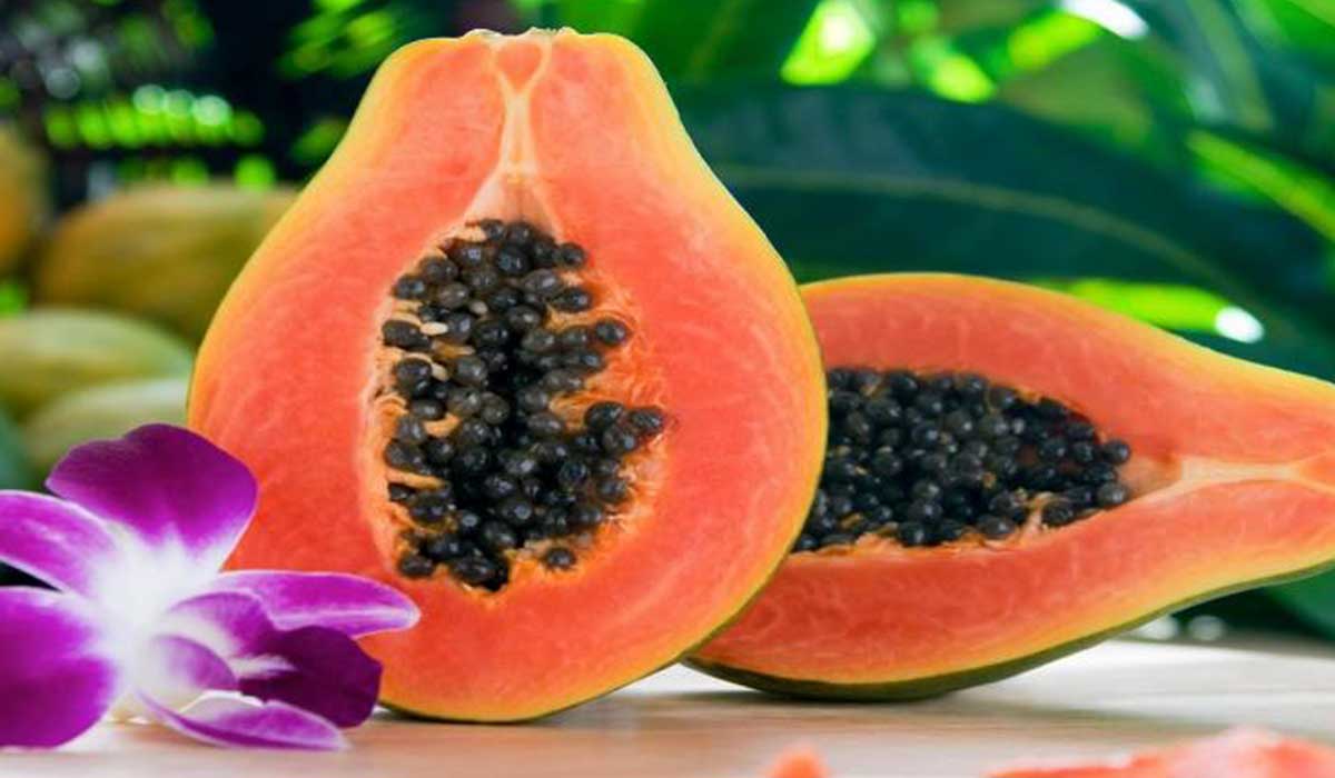 فوائد البابايا