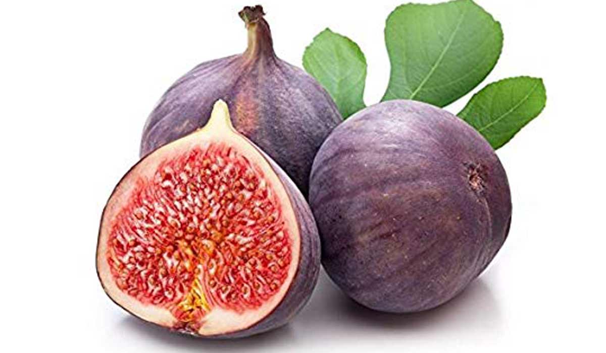 فوائد التين للمعدة