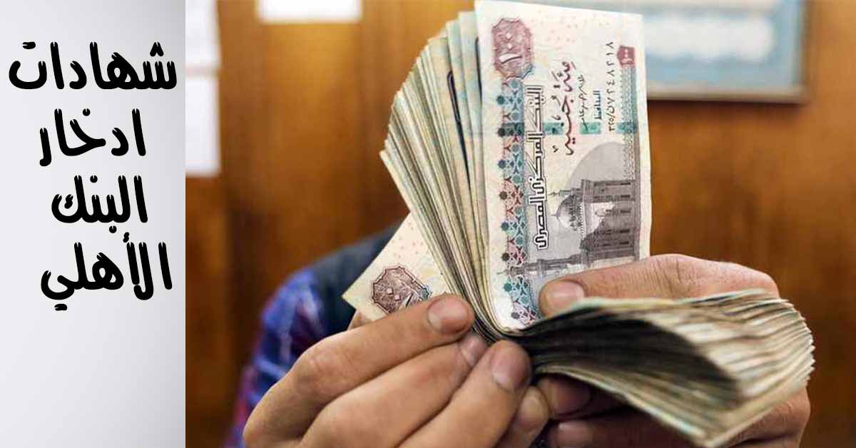 شهادات ادخار البنك الأهلي اعلى عائد سنوي في البنوك المصرية | الشرقية توداي