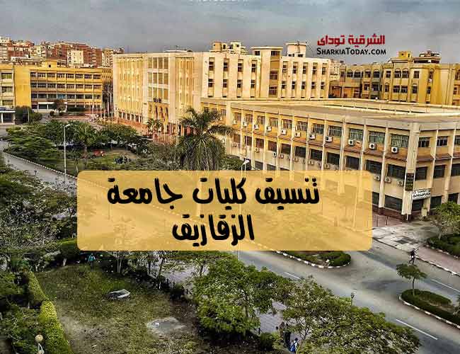 جامعة الزق