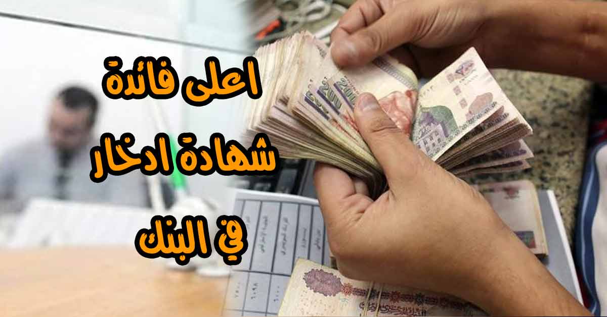 نتنتنت