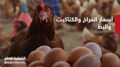 أسعار الفراخ