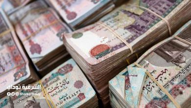 أعلى عائد على شهادات الادخار في مصر بعد إلغاء شهادة الـ15%