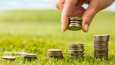 أفكار ذهبية لـ استثمار أموالك بعد خفض الفائدة وإلغاء شهادات الـ15%