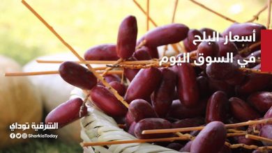 البلح