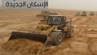 بلبلبل