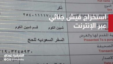 استخراج فيش جنائي عبر الإنترنت
