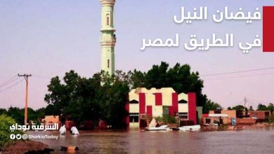 فيضان النيل