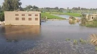فيضانات النيل