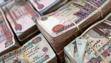 مصير أصحاب شهادة الـ 15 الحاليين بعد وقف إصدارها