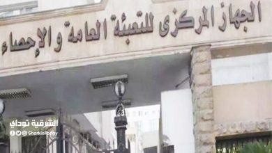 وظائف الجهاز المركزي للتعبئة العامة والإحصاء 2020 .. إليك التفاصيل وطريقة التقديم 4 وظائف الجهاز المركزي للتعبئة العامة والإحصاء 2020