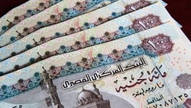 الحكومة: صرف الدفعة الأخيرة من منحة الـ500 جنيه في هذا الموعد 2 فئات جديدة محرومة من منحة الـ500 جنيه