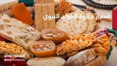 أسعار حلاوة المولد النبوي