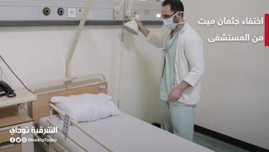 اختفاء نيت