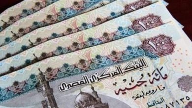 شروط صرف منحة الـ500 جنيه