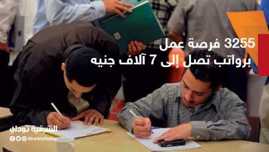 فرصة عمل