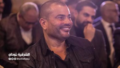 أثناء إحيائه حفلا بالقاهرة.. شاهد سقوط عمرو دياب من على المسرح "فيديو" 1 بعد 30 عاما.. حفل زفاف أمير شاهين يجمع عمرو دياب بخطيبته الأولى.. فمن هي؟؟؟