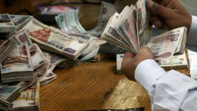 توضيح من القوى العاملة بشأن منحة الـ500 جنيه.. موعد الصرف ورسائل للمستحقين 14 منحة الـ500 جنيه