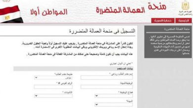 تحديث بيانات العمالة غير المنتظمة