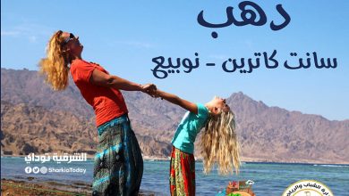 رحلات وزارة الشباب والرياضة
