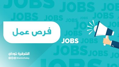 فرص عمل للشباب 2020 .. التقديم يوم 13 أكتوبر .. تعرف على التفاصيل