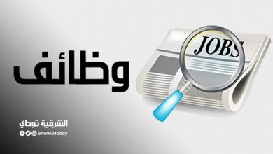 وظائف الشباب والرياضة 2020 .. "لا يشترط خبرة ولا شهادة" مرتبات 3200 جنيه 11 وظائف الشباب والرياضة 2020