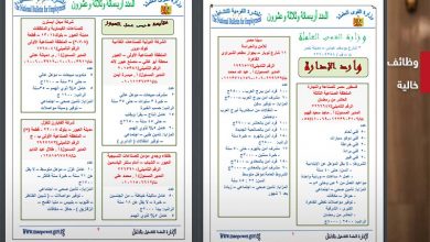 وظائف متاحة بمرتبات تصل إلى 15 ألف جنيه إلى جميع المؤهلات والتخصصات 10 وظائف خالية