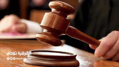 إحالة أوراق مبلط سيراميك قتل جاره بالشرقية للمفتي