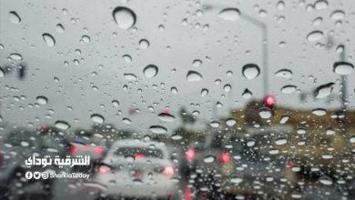 الأرصاد الجوية تعلن طقس الغد .. أمطار مستمرة للخميس القادم 13 الأرصاد الجوية تعلن عن طقس الغد وتوقعات بسقوط أمطار حتى الخميس المقبل
