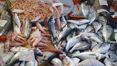 البلطي 15 والبوري 29.. أسعار السمك في مصر اليوم الخميس 26 نوفمبر 7 أسعار السمك