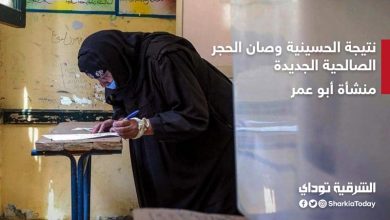 نتائج انتخابات الدائرة الثامنة الحسينية وصان الحجر ومنشأة أبو عمر والصالحية الجديدة