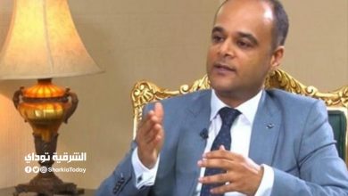 نادر سعد