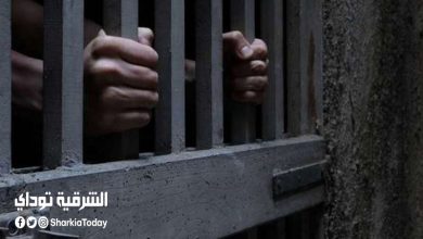 قلوب من حجر.. جد يتخلص من حفيدته بمساعدة أمها ويتركها بمحطة القطار في الزقازيق 4 حبس الطبيب المتهم بارتكاب فعل فاضح داخل ميكروباص بالشرقية