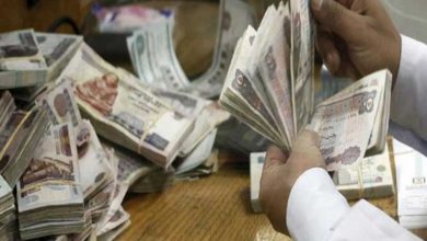 حقيقة وجود زكاة الراتب الشهري.. الإفتاء تجيب 16 زكاة الراتب