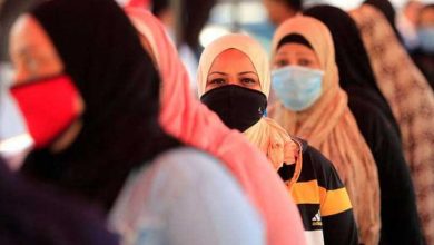 إصابات كورونا في مصر