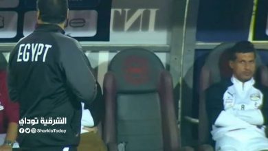 طارق حامد