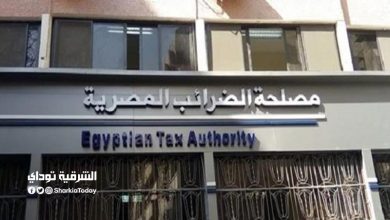 مصلحة الضرائب المصرية تعلن عن 1700 فرصة عمل بجميع محافظات مصر.. تعرف على الشروط وطريقة التقديم 7 مصلحة الضرائب المصرية