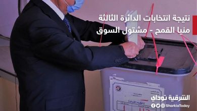 نتائج انتخابات الدائرة الثالثة منيا القمح ومشتول السوق