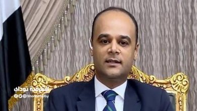 نادر سعد