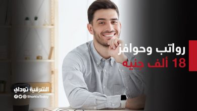 وظائف خالية في القاهرة والمحافظات