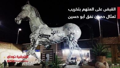 القبض على المتهم بتخريب تمثال حصان نفق أبو حسين في الزقازيق 7 الحصان