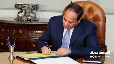 السيسي