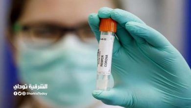 تحليل ال pcr