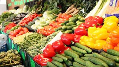 تراجع سعر الطماطم.. أسعار الخضروات والفاكهة اليوم الأربعاء في مصر 3 أسعار الخضروات والفاكهة
