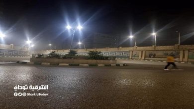 حصان 3